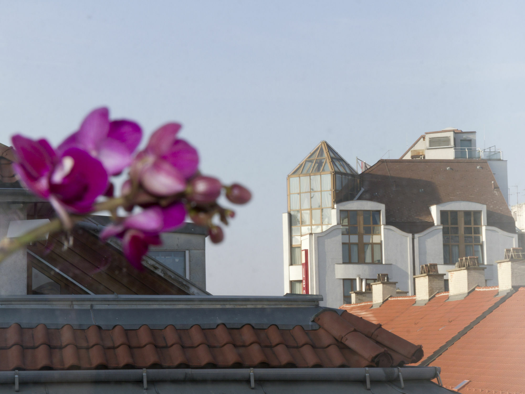 Mariahilf Terrace By Welcome2Wien Exteriör bild